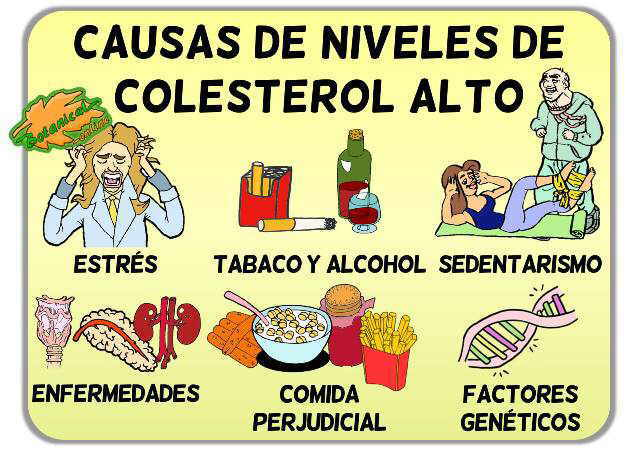 factores que afectan el colesterol