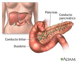 Diabetes tipo 1