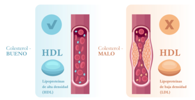 colesterol hdl