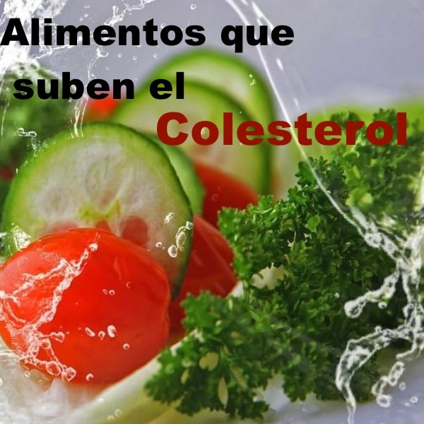 como bajar el colesterol con dieta