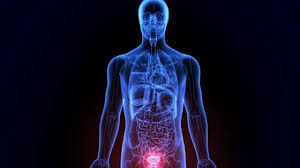 causas del cancer de prostata
